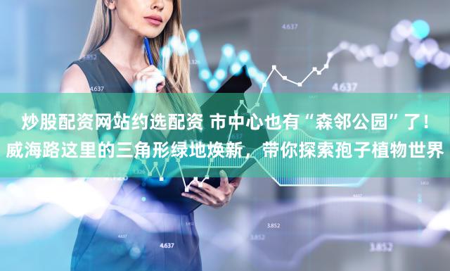 炒股配资网站约选配资 市中心也有“森邻公园”了！威海路这里的三角形绿地焕新，带你探索孢子植物世界