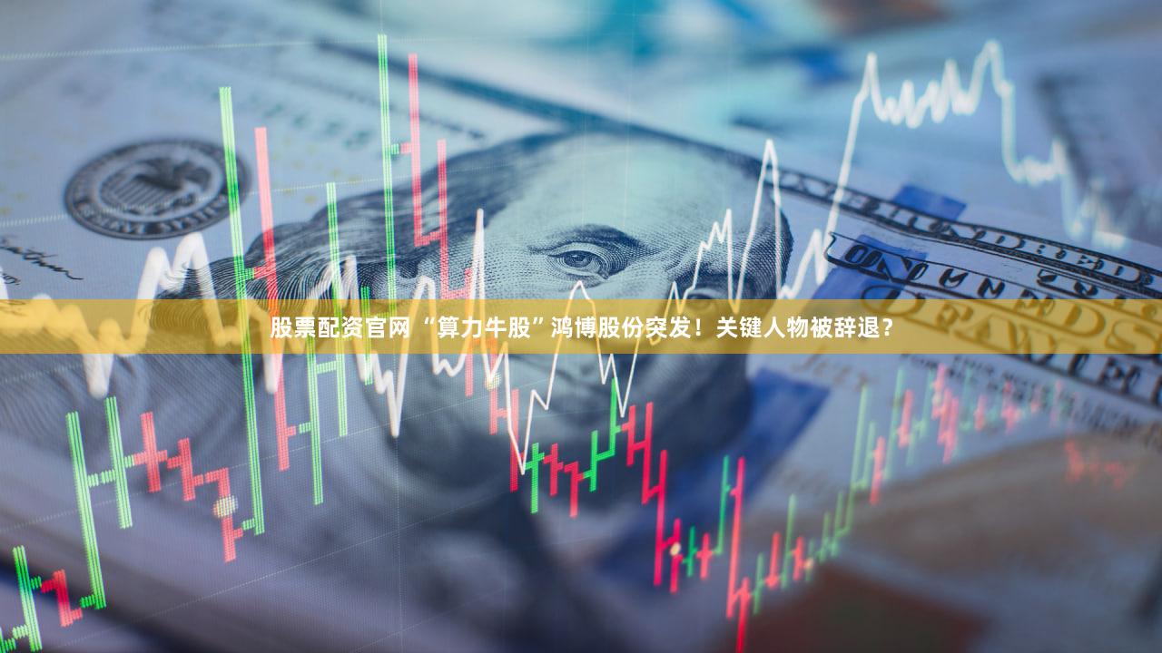 股票配资官网 “算力牛股”鸿博股份突发！关键人物被辞退？