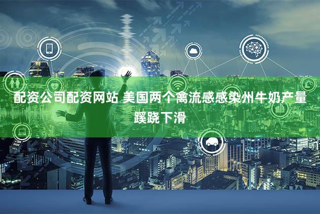 配资公司配资网站 美国两个禽流感感染州牛奶产量蹊跷下滑
