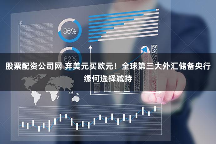 股票配资公司网 弃美元买欧元!全球第三大外汇储备央行缘何选择减持