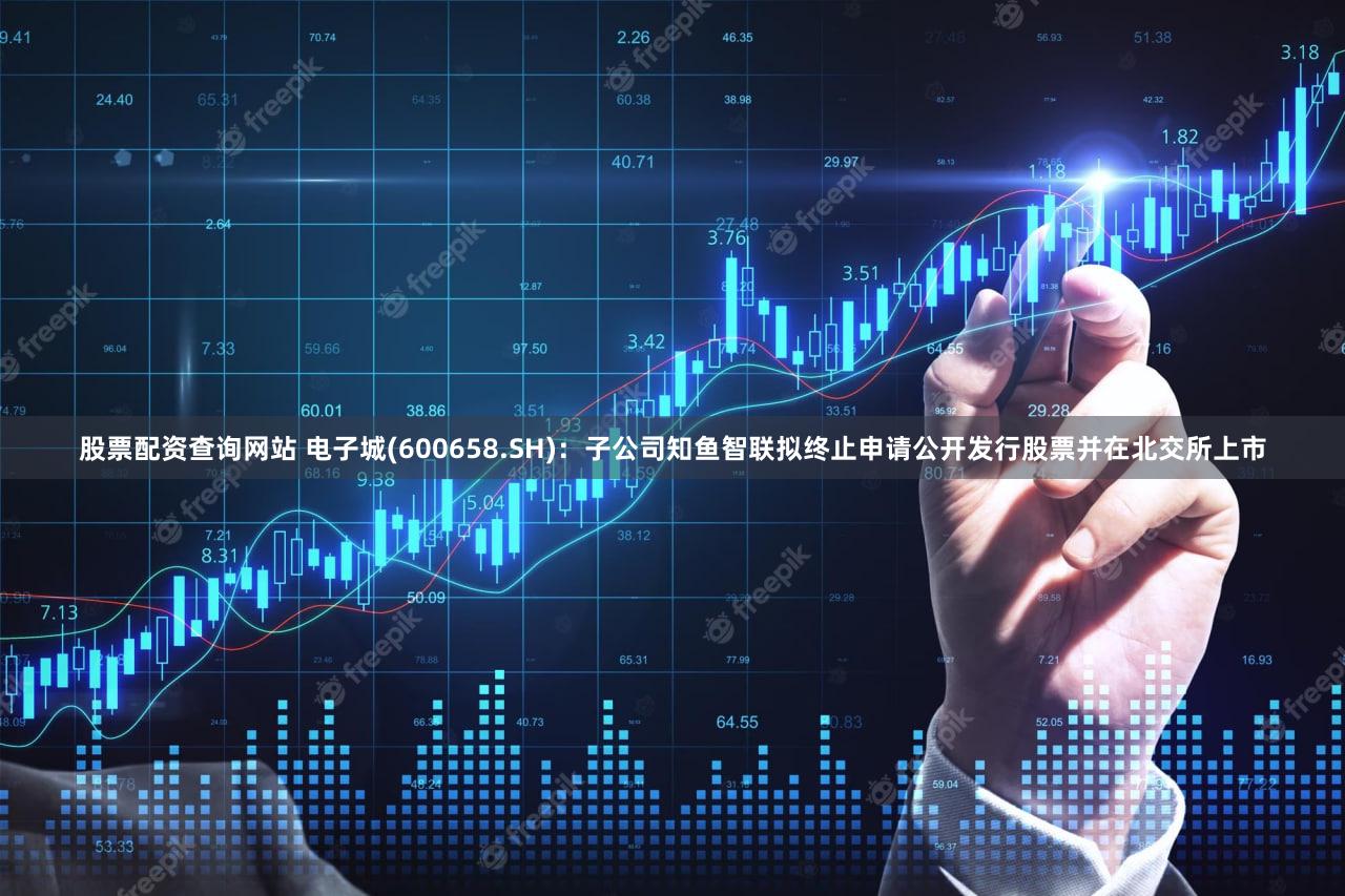 股票配资查询网站 电子城(600658.SH):子公司知鱼智联拟终止申请公开发行股票并在北交所上市