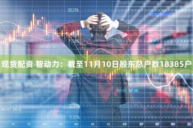 现货配资 智动力：截至11月10日股东总户数18385户