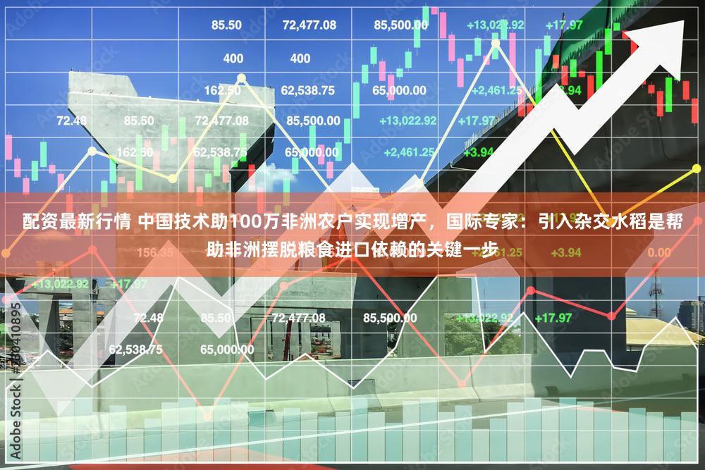 配资最新行情 中国技术助100万非洲农户实现增产,国际专家:引入杂交水稻是帮助非洲摆脱粮食进口依赖的关键一步