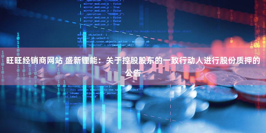 旺旺经销商网站 盛新锂能：关于控股股东的一致行动人进行股份质押的公告