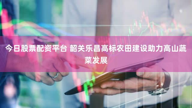 今日股票配资平台 韶关乐昌高标农田建设助力高山蔬菜发展