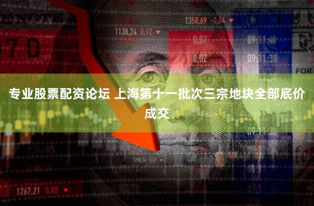 专业股票配资论坛 上海第十一批次三宗地块全部底价成交