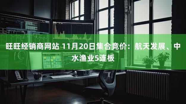 旺旺经销商网站 11月20日集合竞价：航天发展、中水渔业5连板